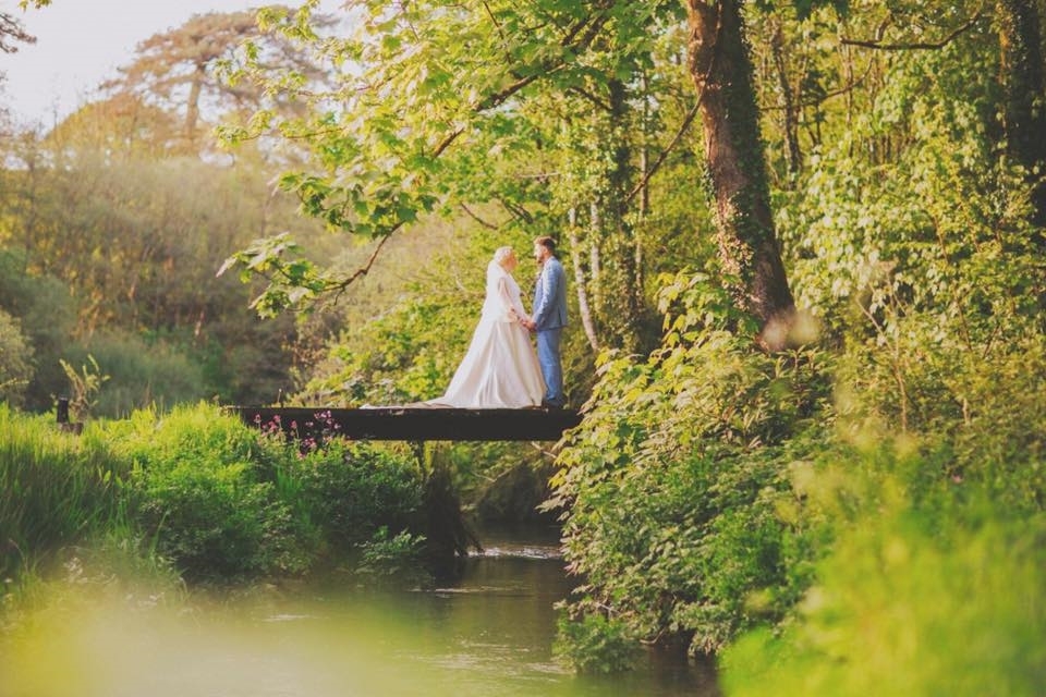 Fairyhill By Oldwalls