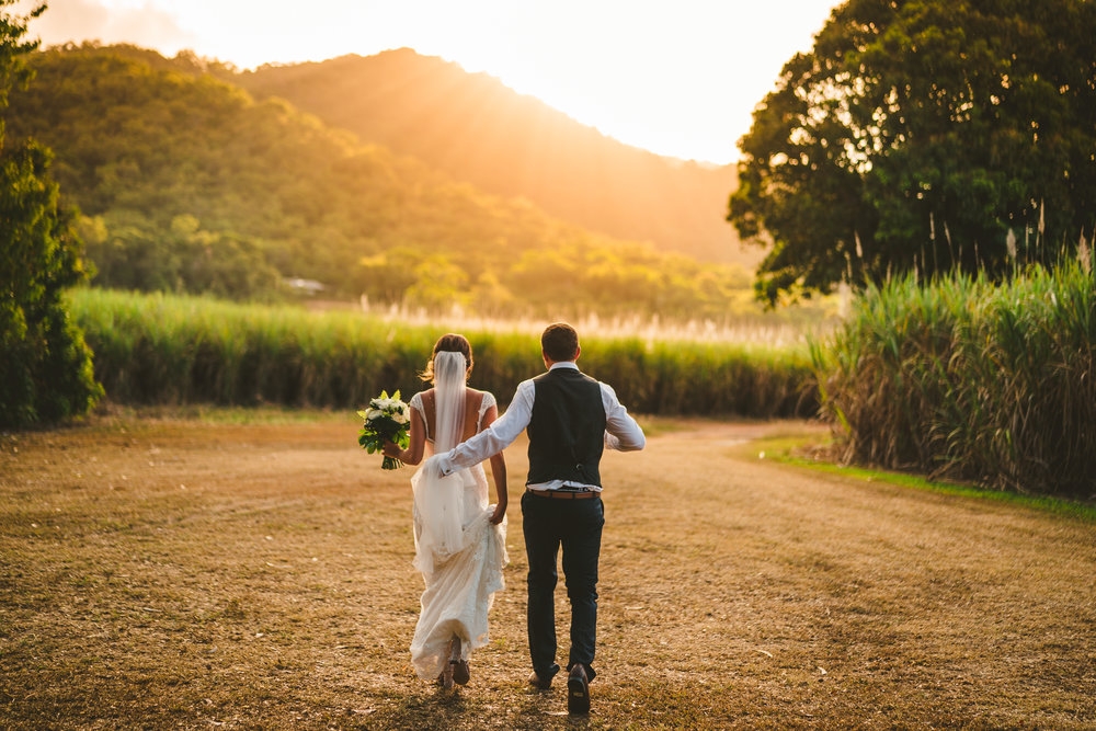 The Rainforest Grotto