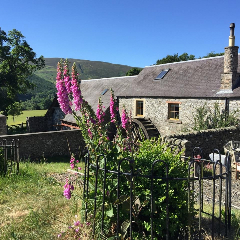 The Mill @ Lewinshope