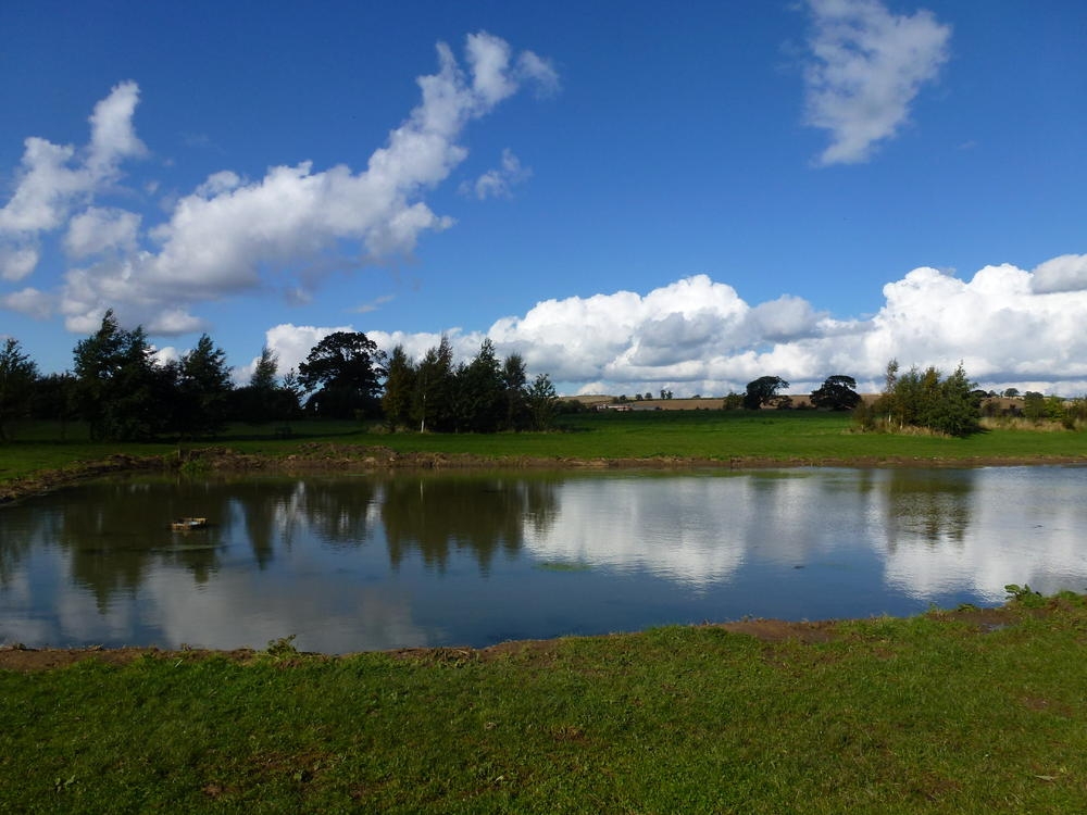 Thornton Lodge Country Sports