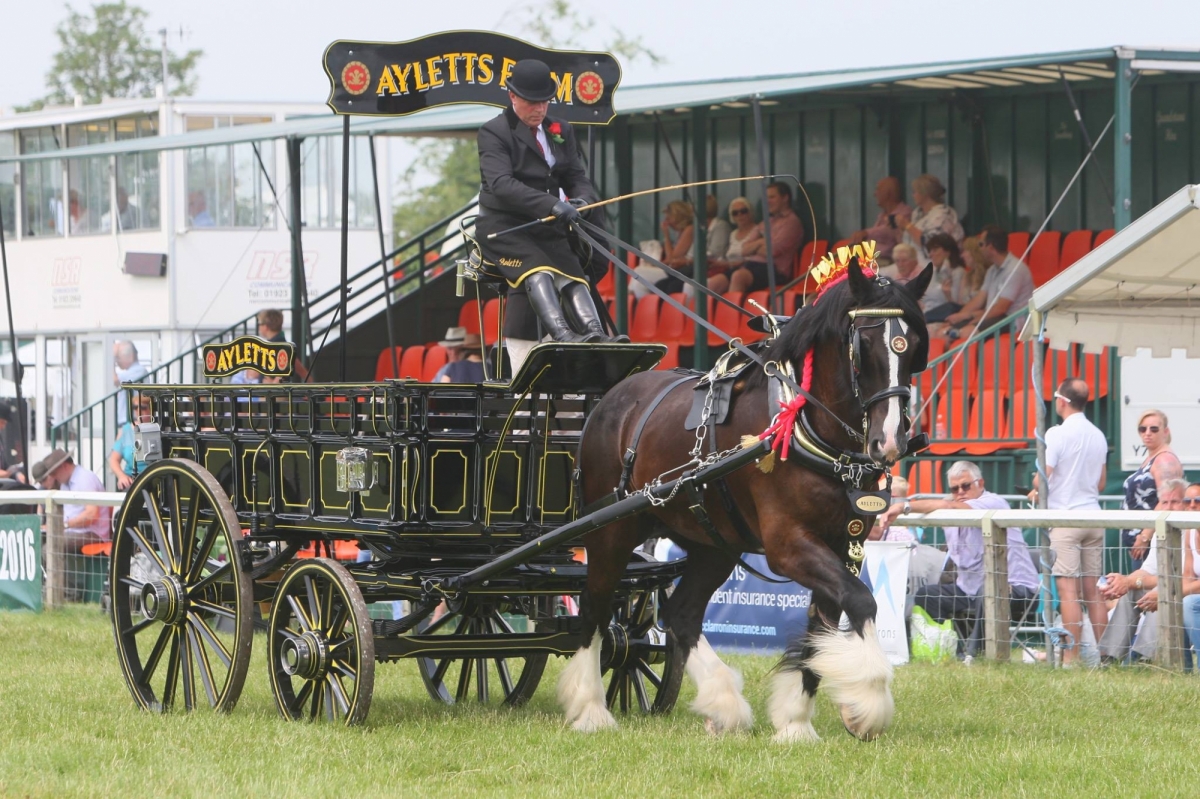 The Driffield Showground - The Rix Pavilion