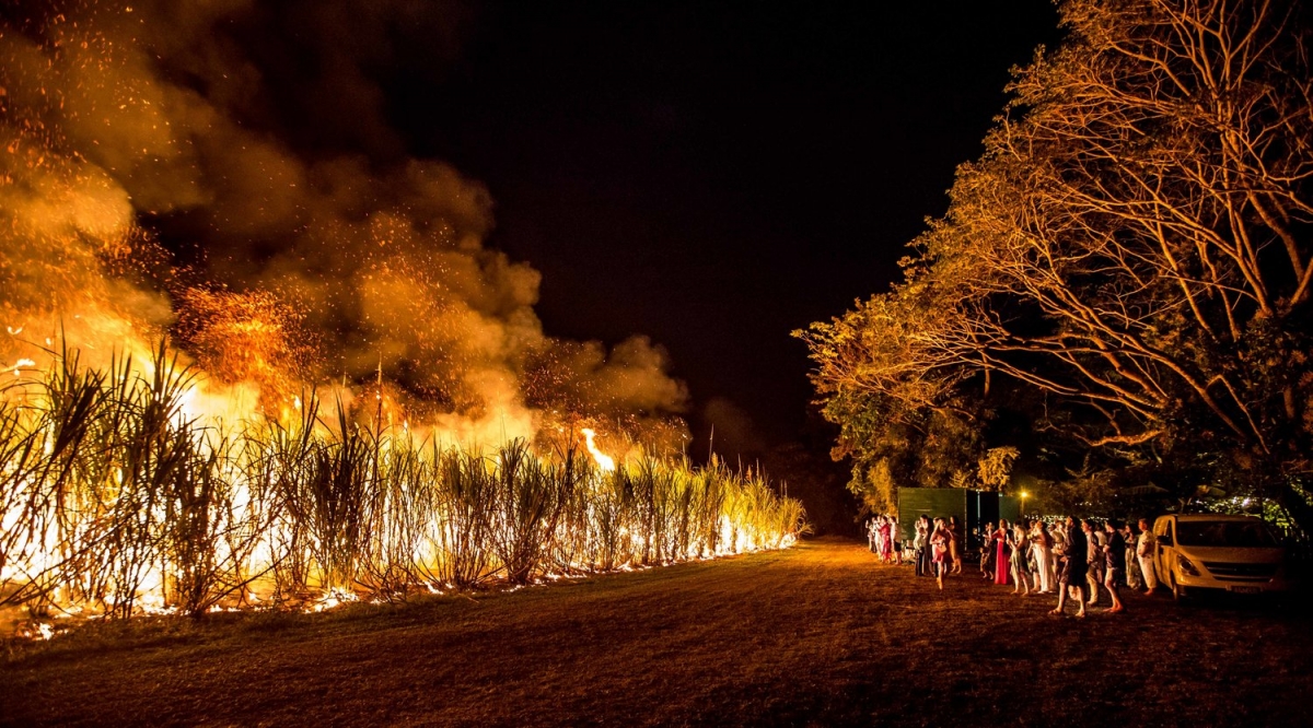 The Rainforest Grotto