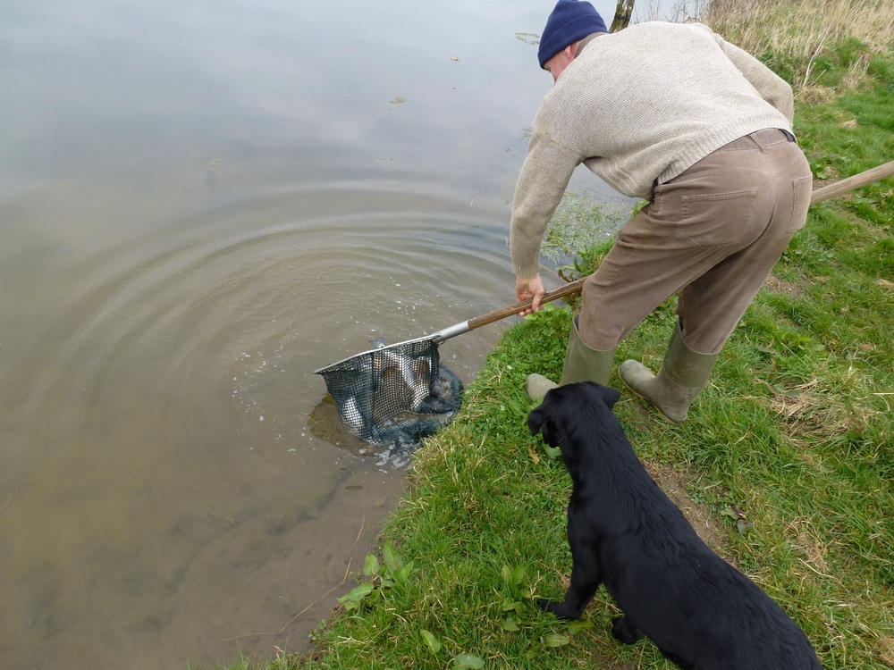 Thornton Lodge Country Sports