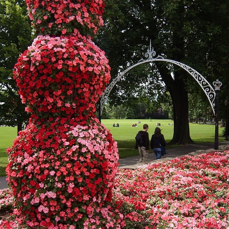 The Royal Pump Rooms 