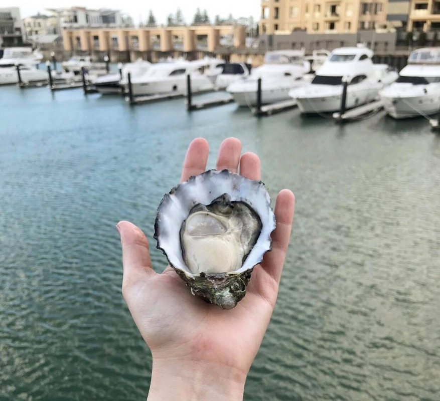 Oyster Bar Holdfast Shores