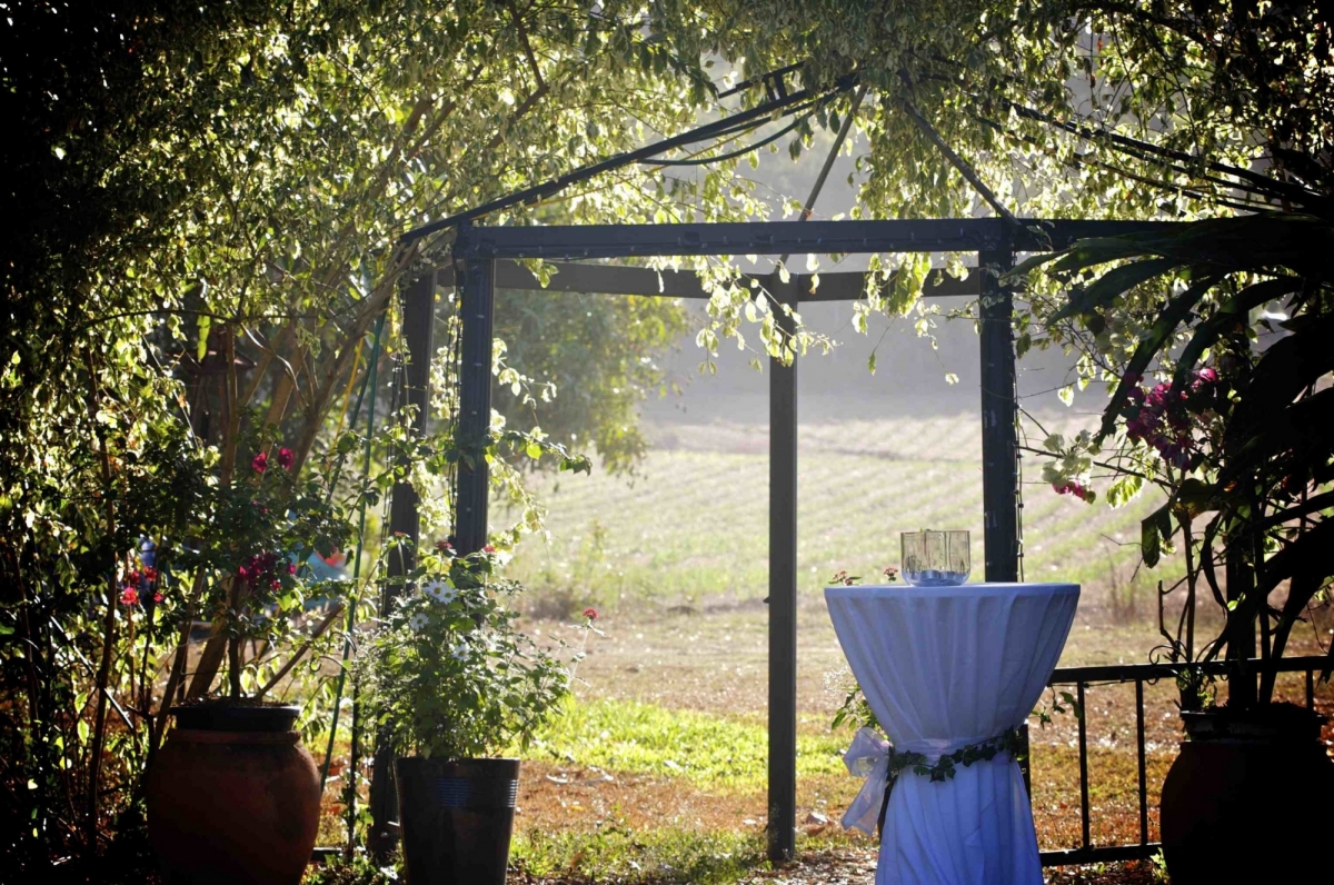 The Rainforest Grotto