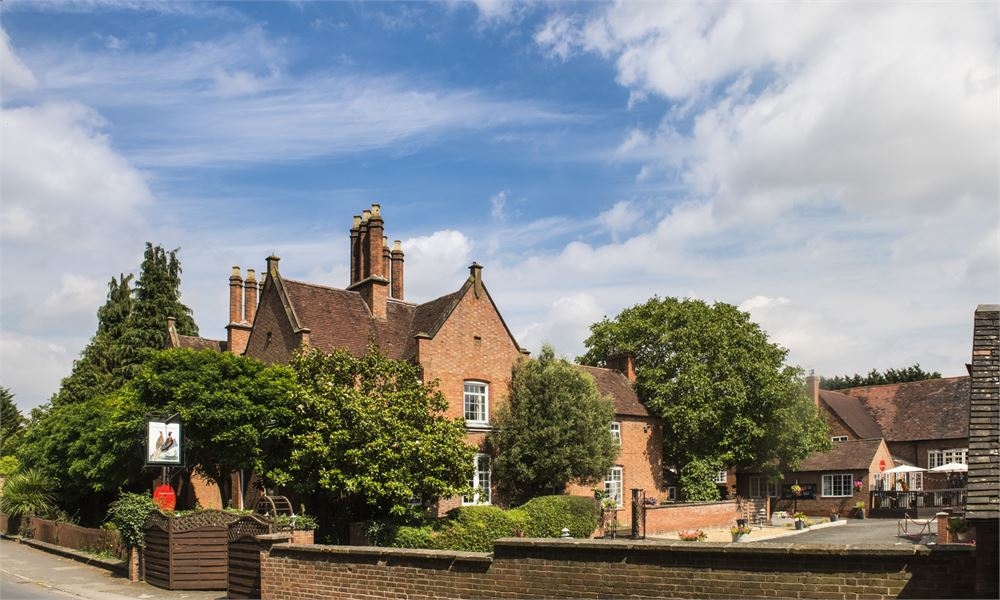The Charlecote Pheasant 