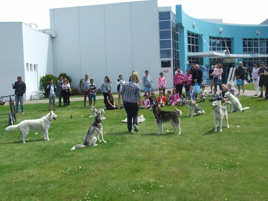 International Antarctic Centre