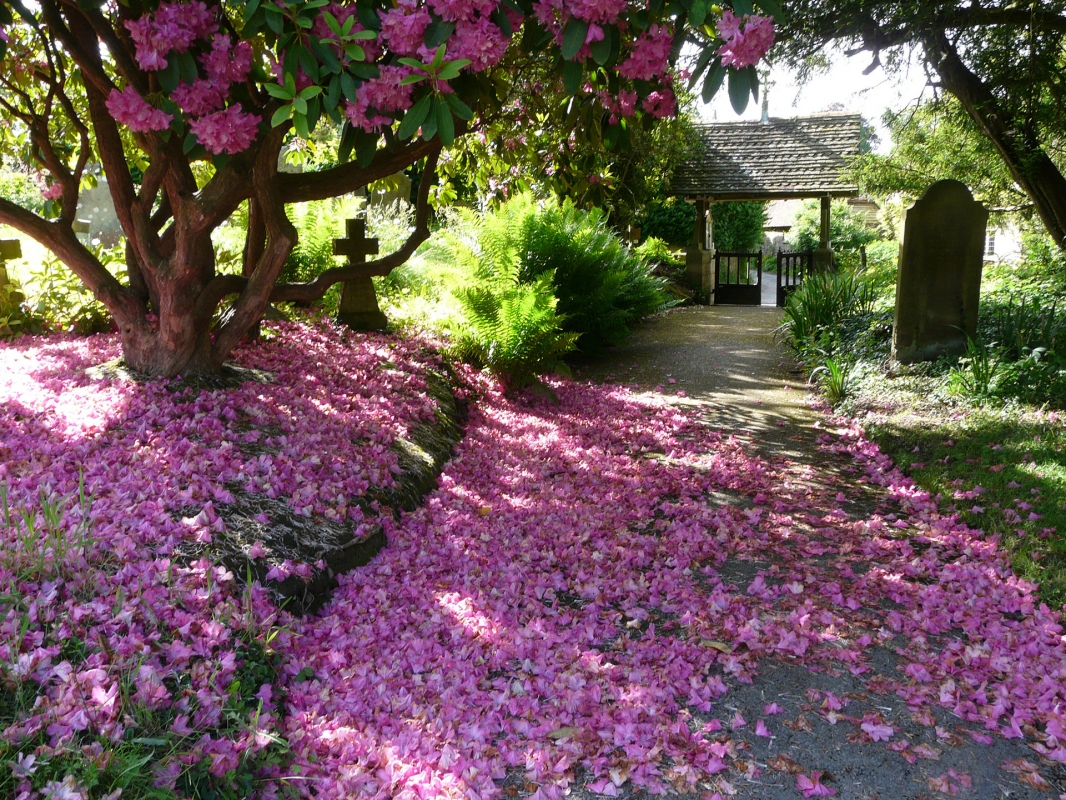Lodsworth Village Hall