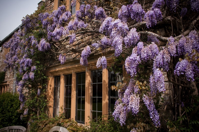 The Manor Somerset Country Estate