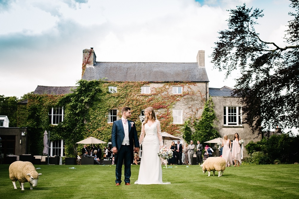 Fairyhill By Oldwalls