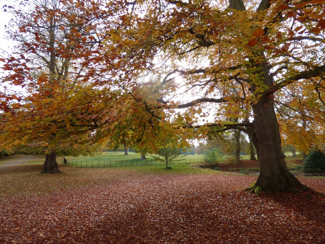 Hartwell House Hotel And Spa