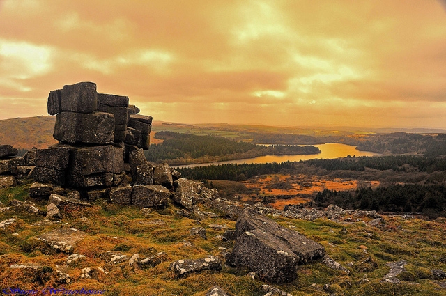 Moorland Garden Hotel 