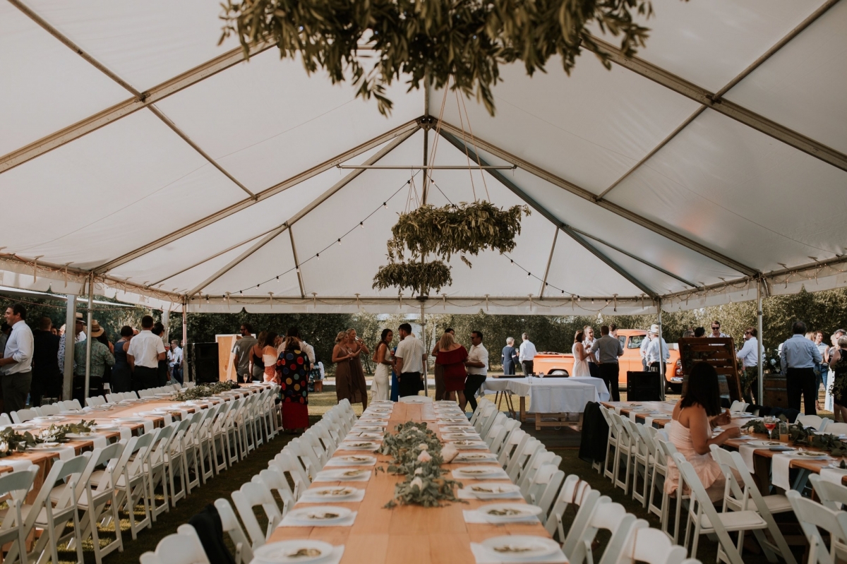 Streamblock Vineyard