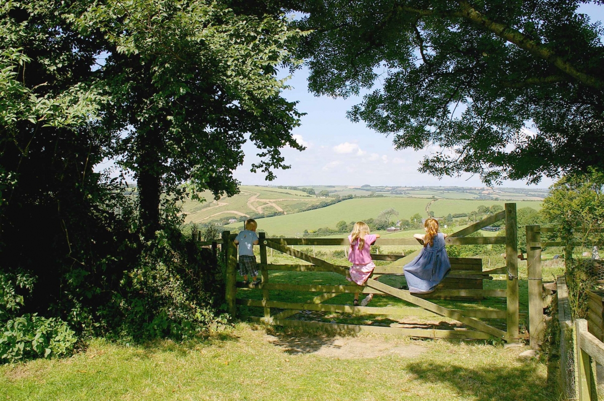 Wringworthy Cottages