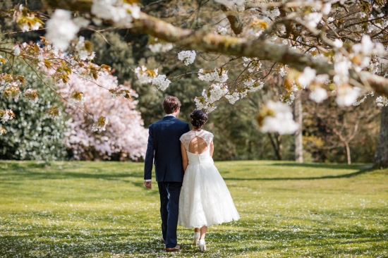 The Magnolia Trees