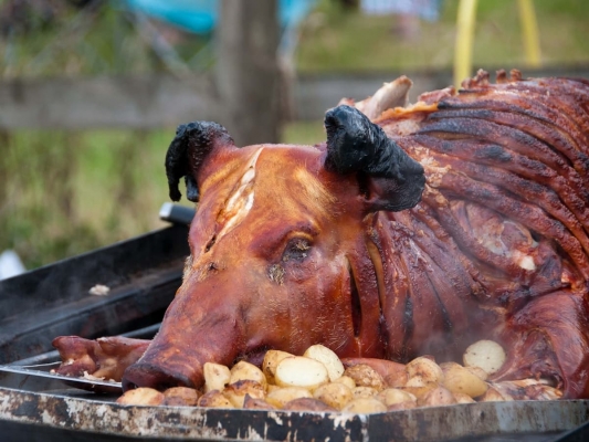 Butler & HOG