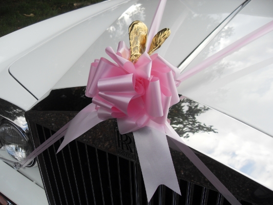 Special Day Car Hire