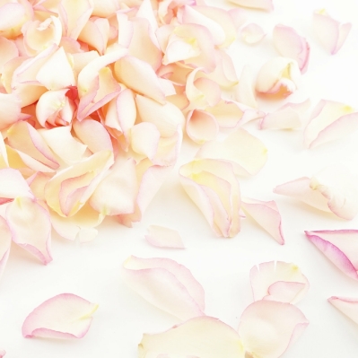 Blushing Bride Freeze-Dried Rose Petals