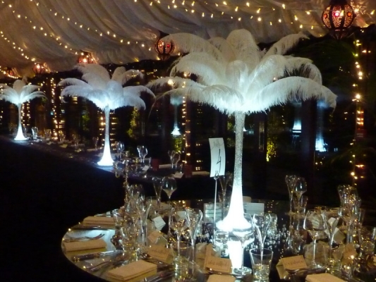 Ostrich feather displays