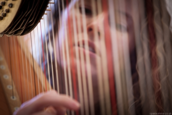 Harriet Adie - Harpist