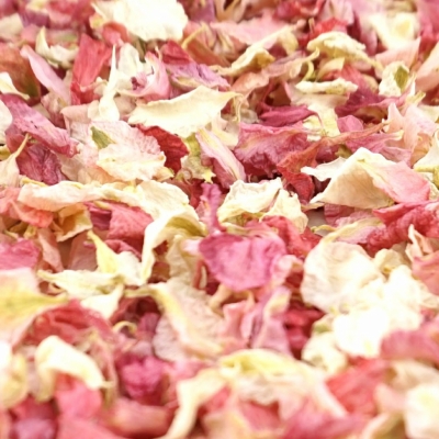 Delphinium Petal Confetti - Raspberry / Vanilla