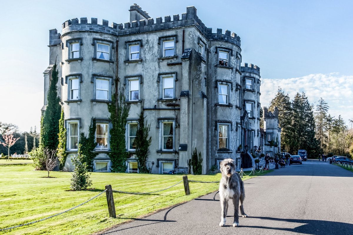Ballyseede Castle Welcom