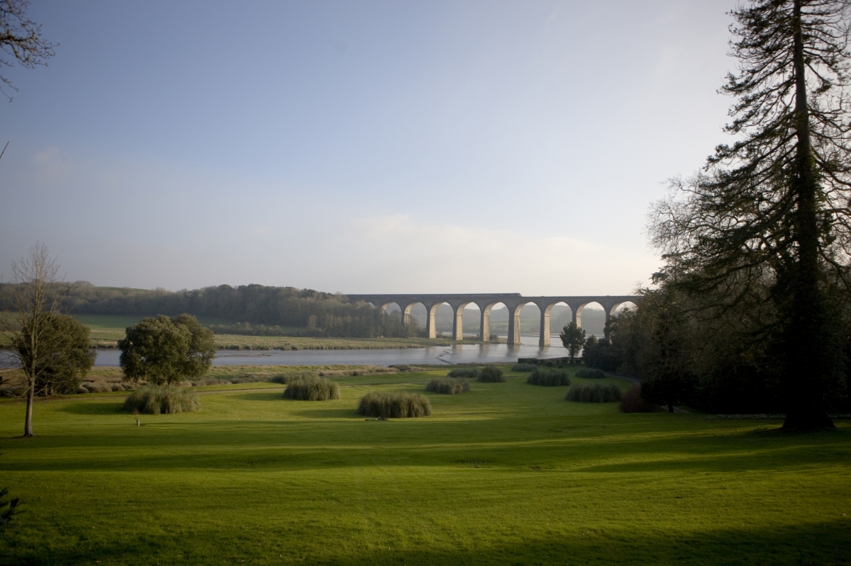 View over Pampas Grass towards Brunel's Viaduct