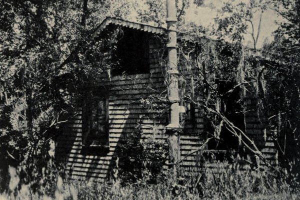 Jack London Lodge
