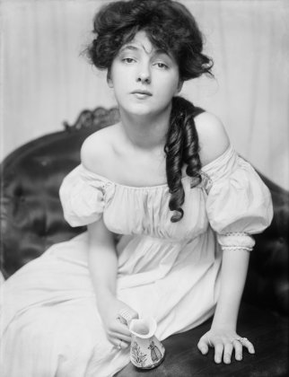 The Evelyn
