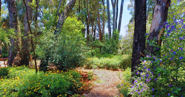 Woodland Gardens