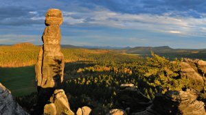 Photo from venue website