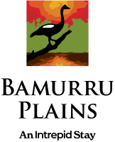 Photo from venue website