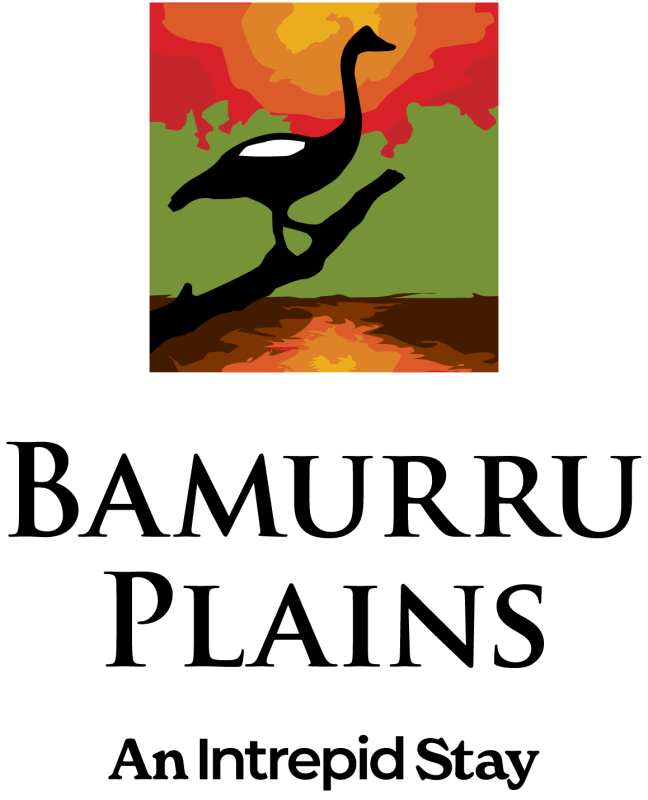 Photo from venue website
