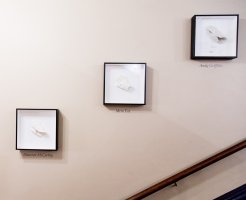 Photo from venue website