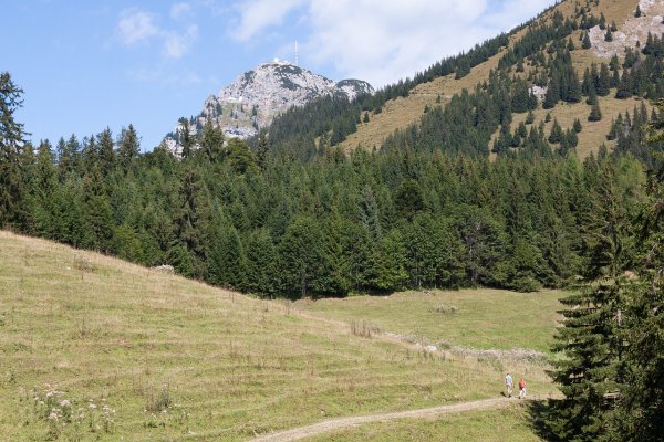 Mitteralm