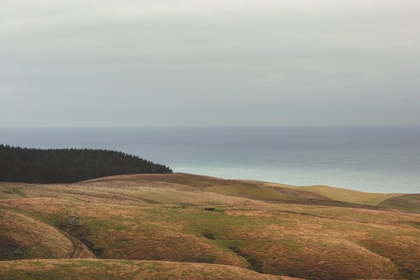 Ebb-Dunedin
