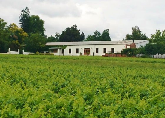 Leeuwrivier
