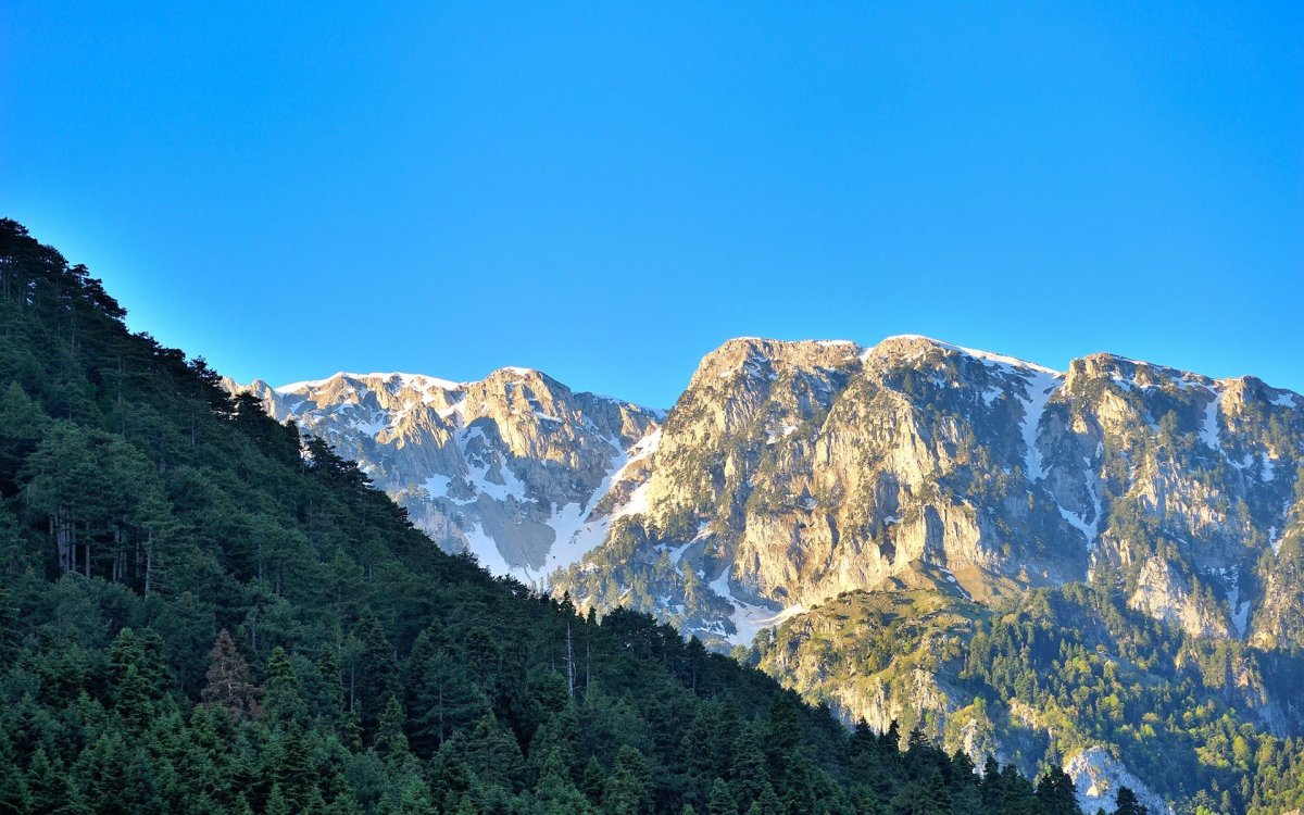 Photo from venue website