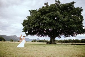 Photo from venue website