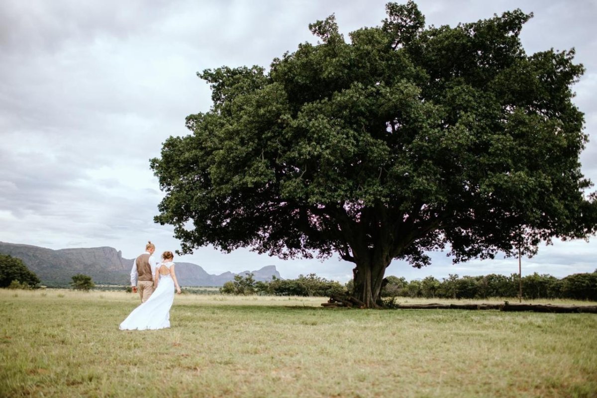 Photo from venue website