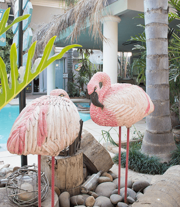 Cocomo Boutique Hotel & Conference Centre