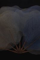 Photo from venue website