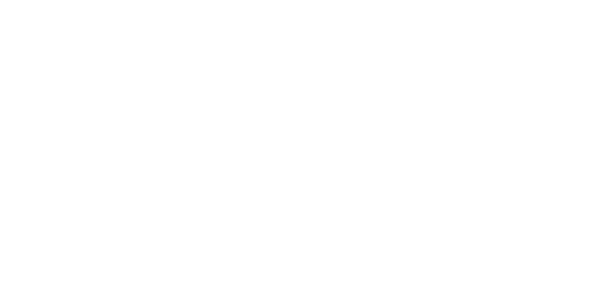 Palisade Hotel