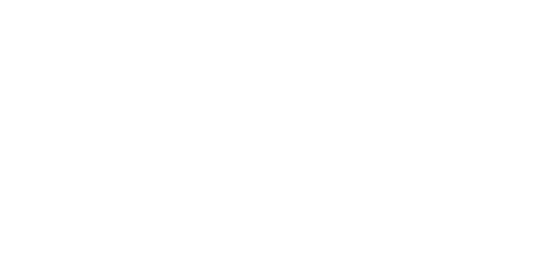 Palisade Hotel