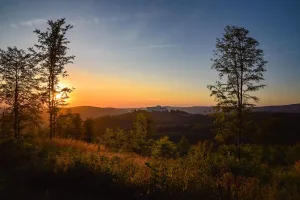 Photo from venue website
