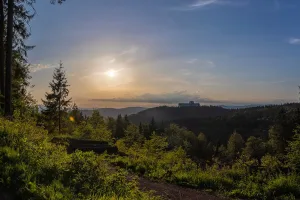 Photo from venue website