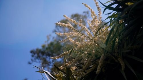 Phoenicia Malta