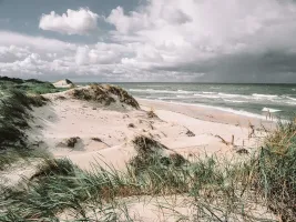 Photo from venue website