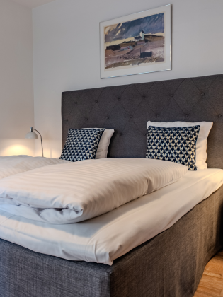 Palads Hotel Viborg